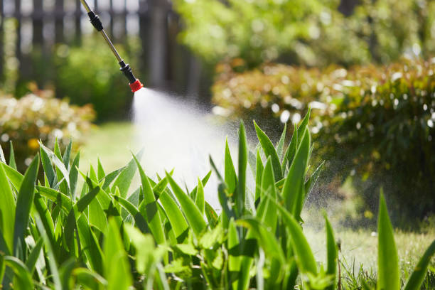 24/7 Emergency Bed Bug Control experts in Oak Harbor, WA