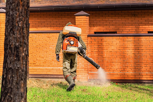 Top rated local Bed Bug Control specialists in Oak Harbor, WA